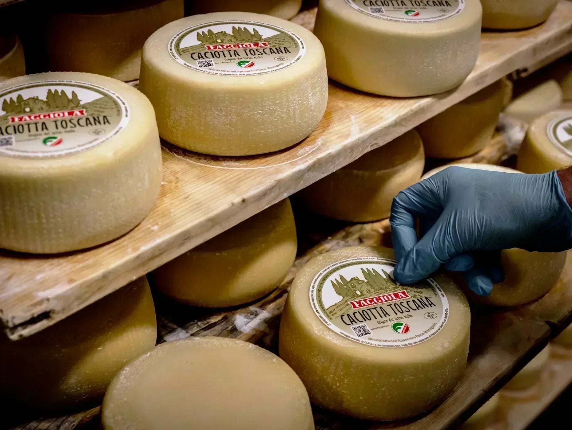 Faggiola Cheeses: Italian dairy tradition | CLAI