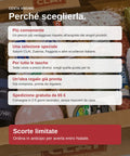 Perché scegliere la Cesta Natalizia Vischio CLAI: convenienza, idea regalo pronta, spedizione gratuita da 65 euro